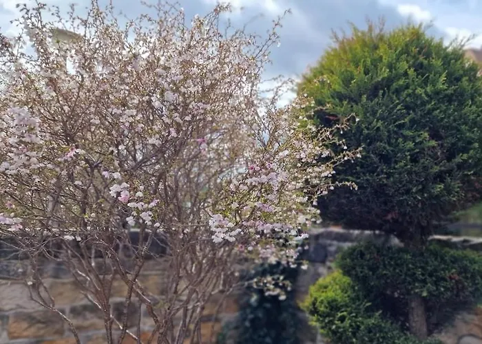 Arlett Διαμέρισμα *